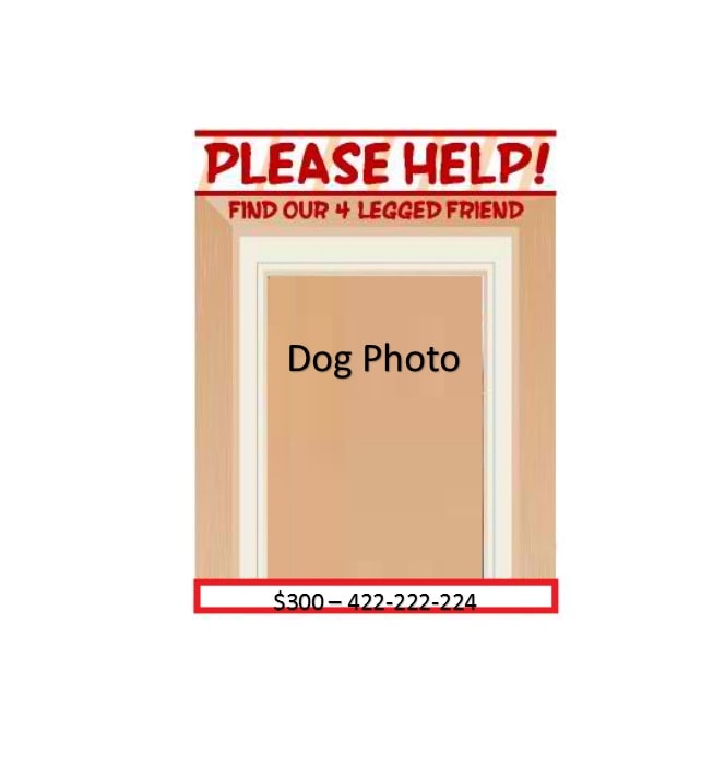 Lost Dog Flyer Template