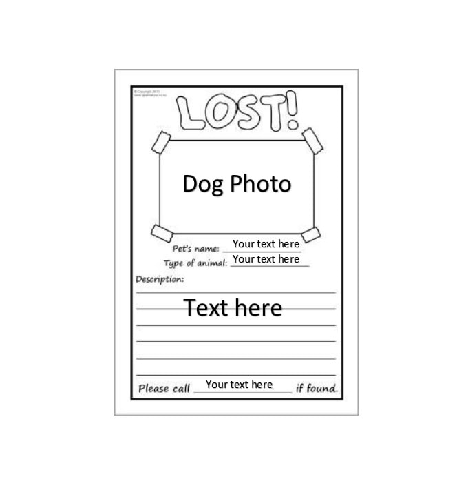 Lost Dog Flyer Template