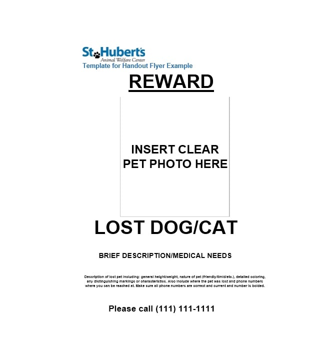 Lost Dog Flyer Template