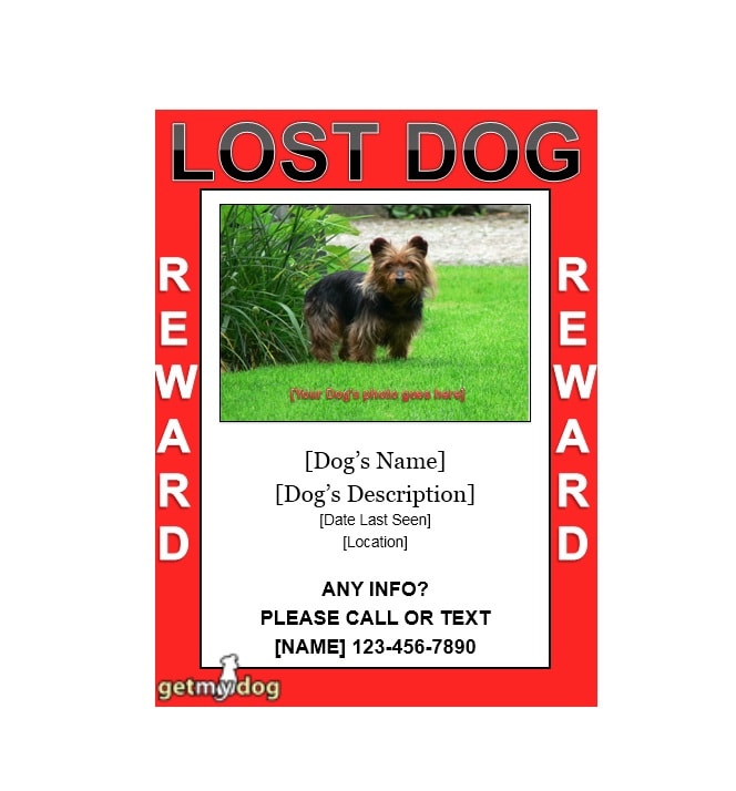 Lost Dog Flyer Template