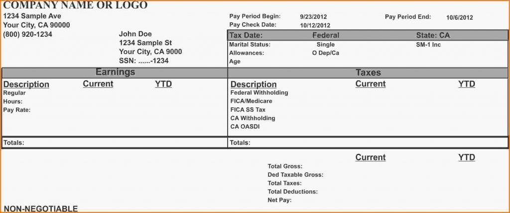 Pay Stub Template Example