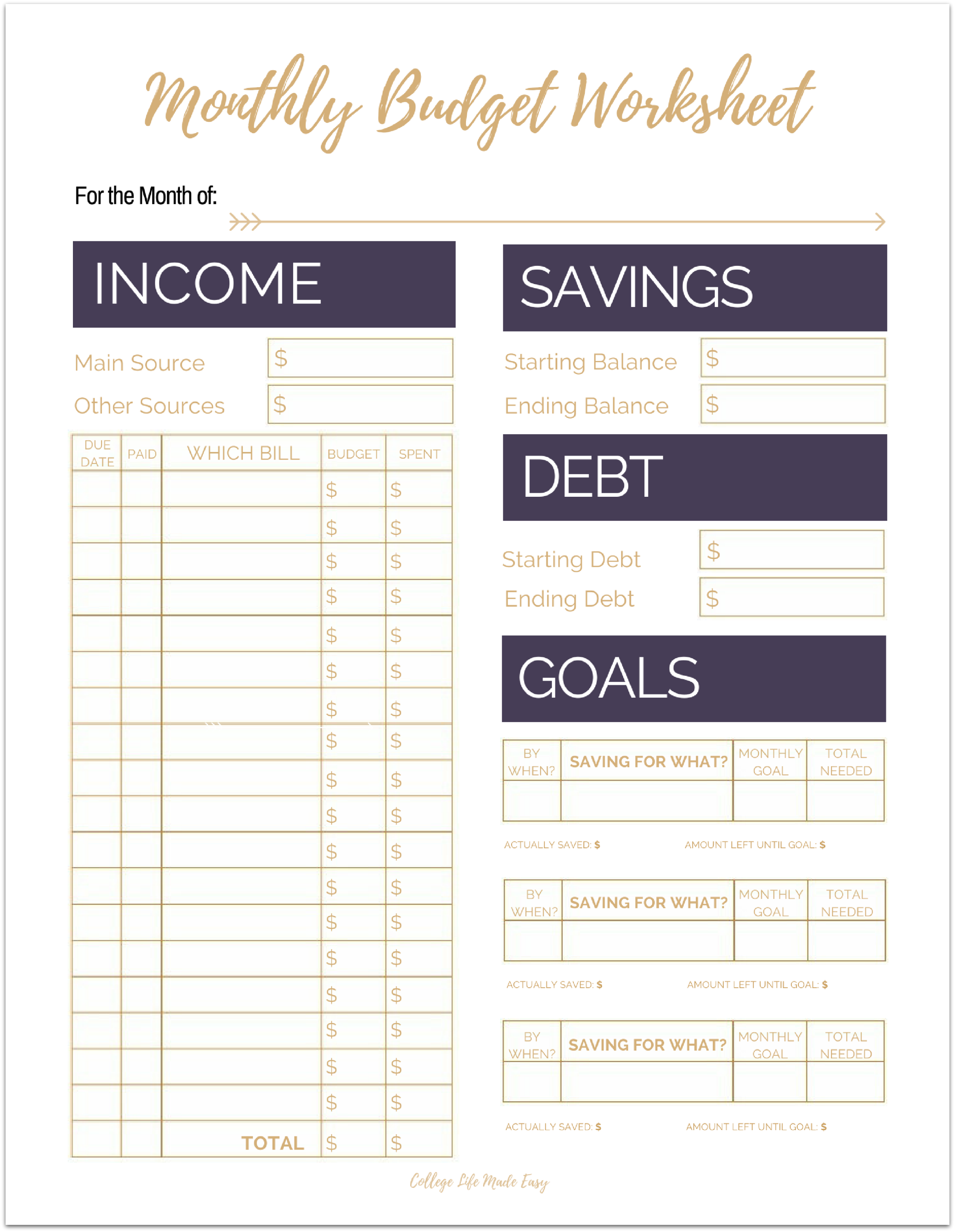 Personal Financial Planner Template Example