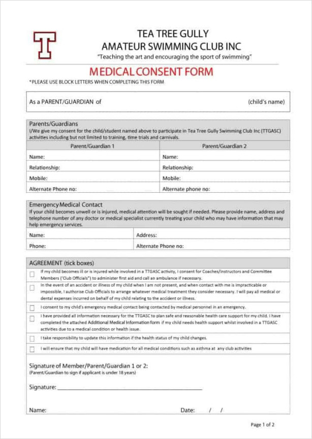 Printable Medical Consent Form For Adults