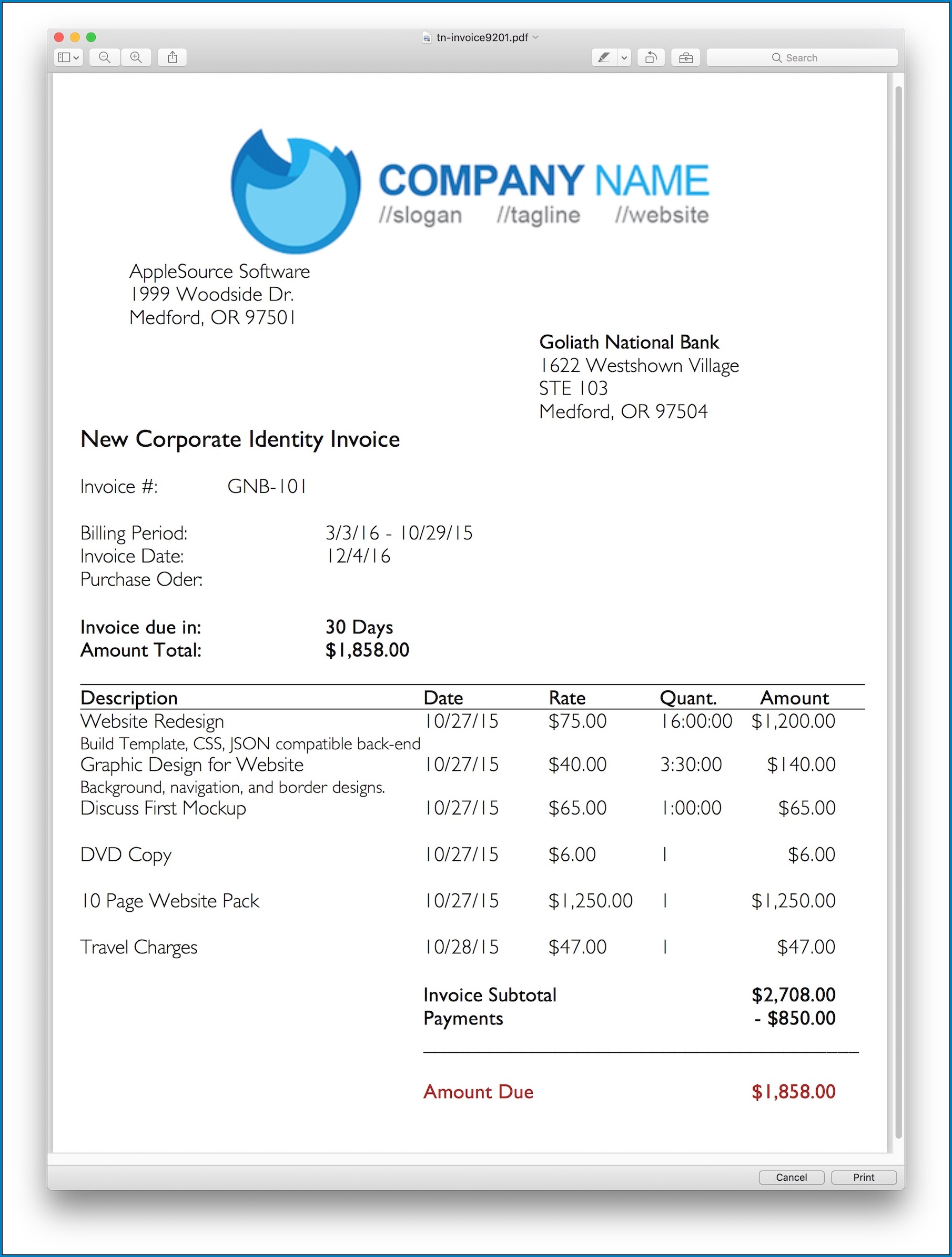 Professional Invoice Template Sample