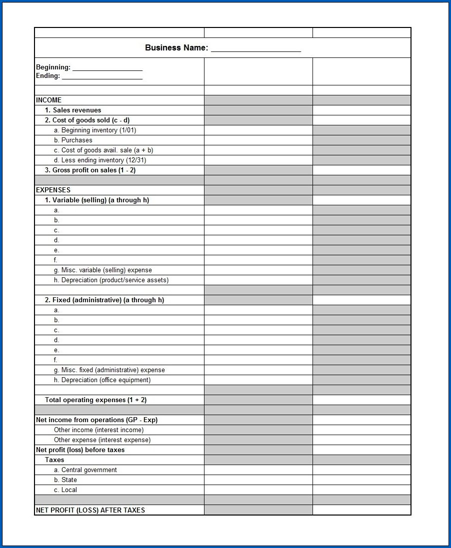 Profit And Loss Statement Sample 6