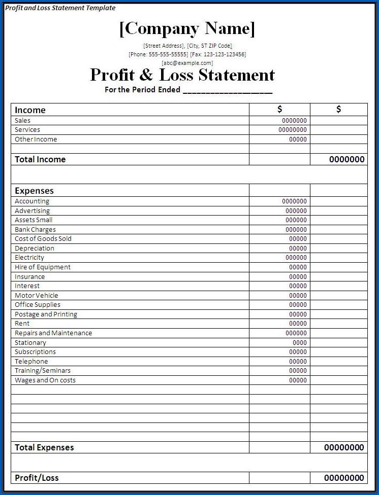 Profit And Loss Statement Sample 7