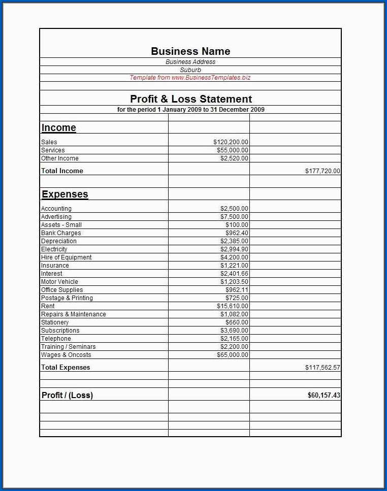 Profit And Loss Statement Template For Small Business Example