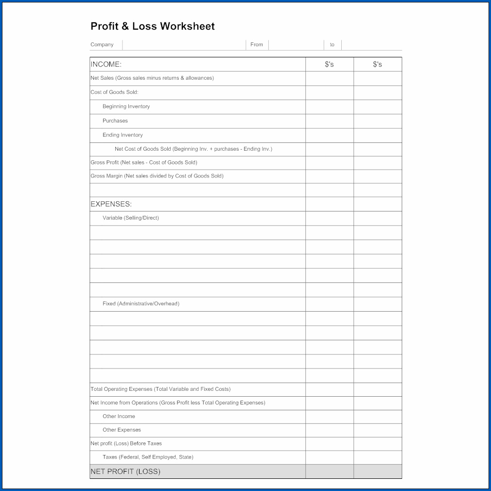 Profit And Loss Worksheet Sample