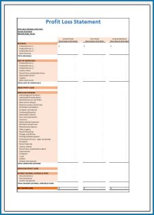 √ The Purpose of Profit Loss Statement for Our Business