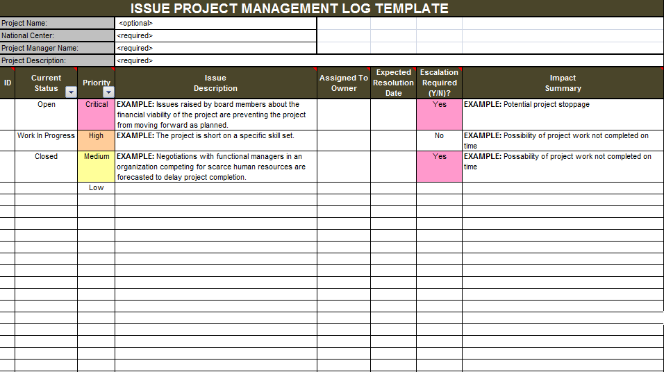 Project Issue Tracker Template Example