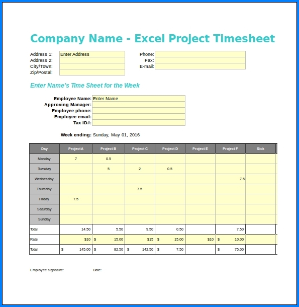 Project Timesheet Template Example