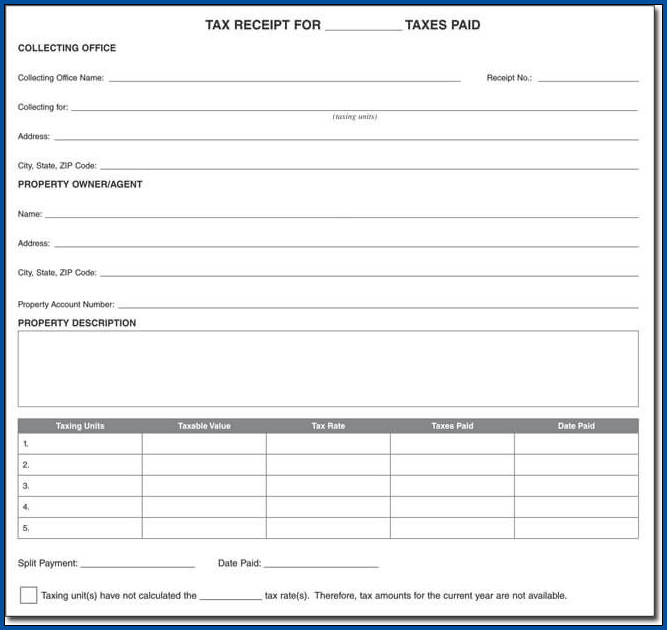 Receipt For Cash Payment Template Sample