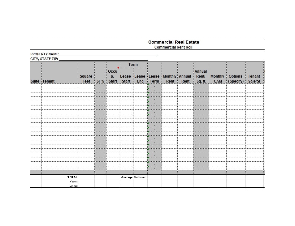 Rent Roll Template