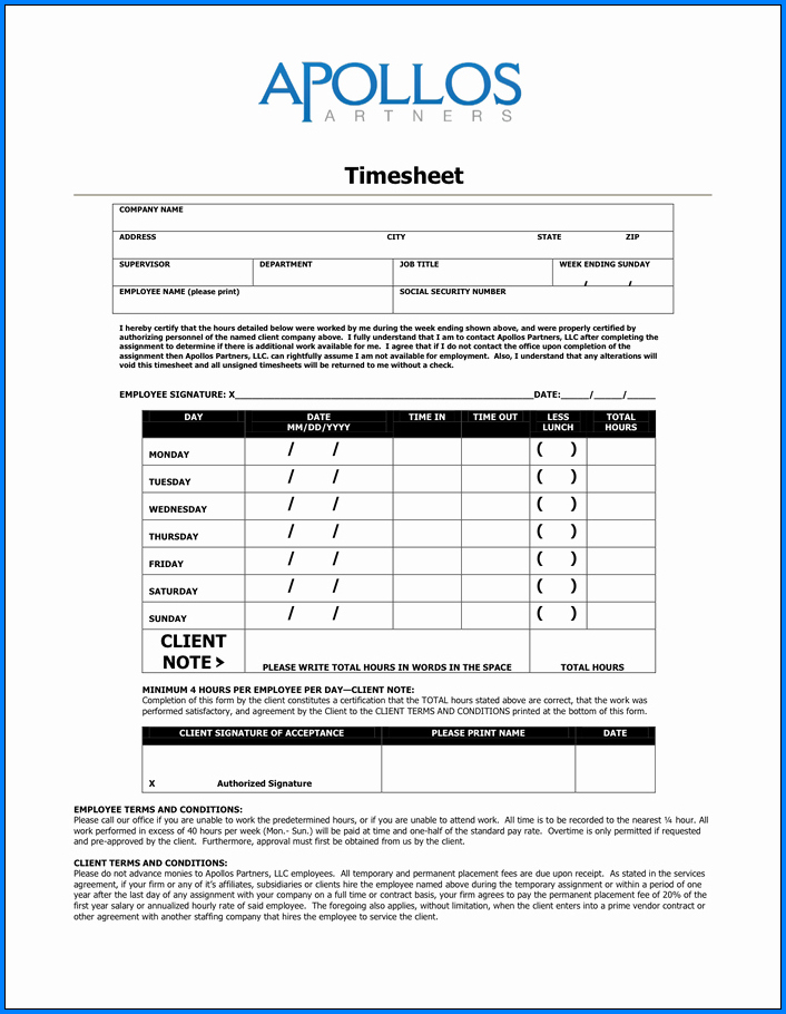 Sample of Consultant Timesheet Template