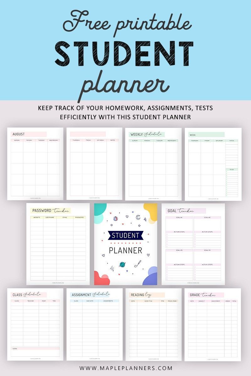 Sample of Monthly Study Reminder Planner Template