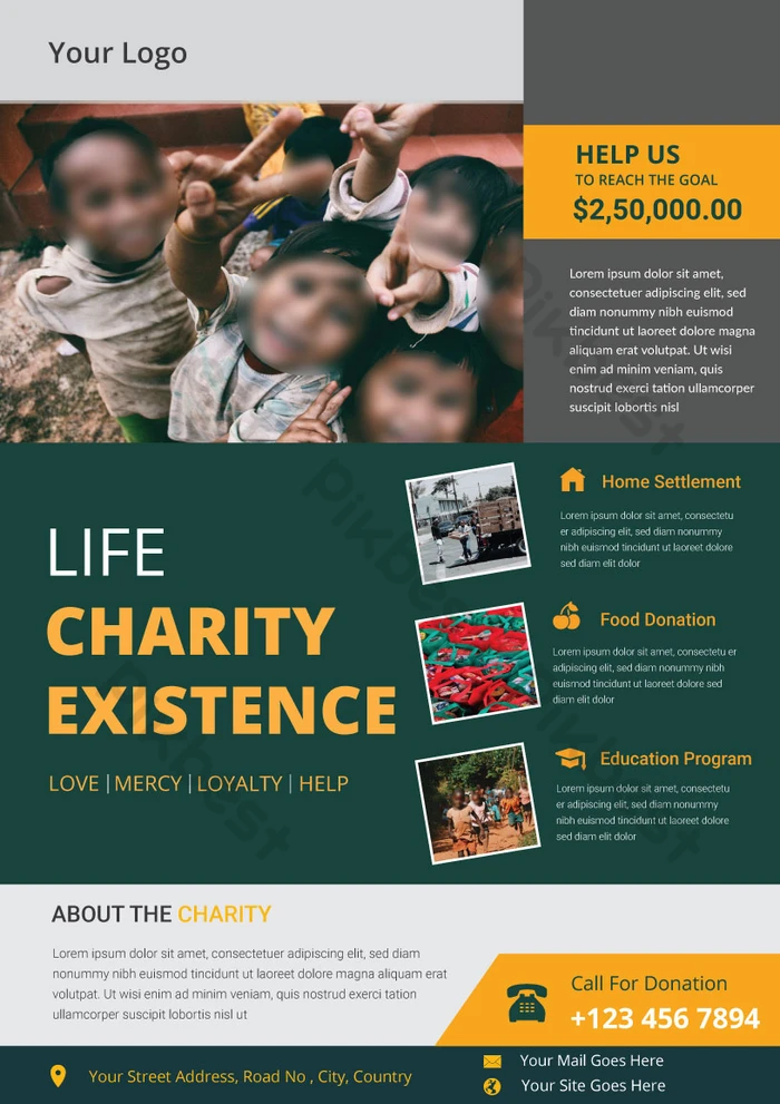 Sample of Printable Charity Flyer Template