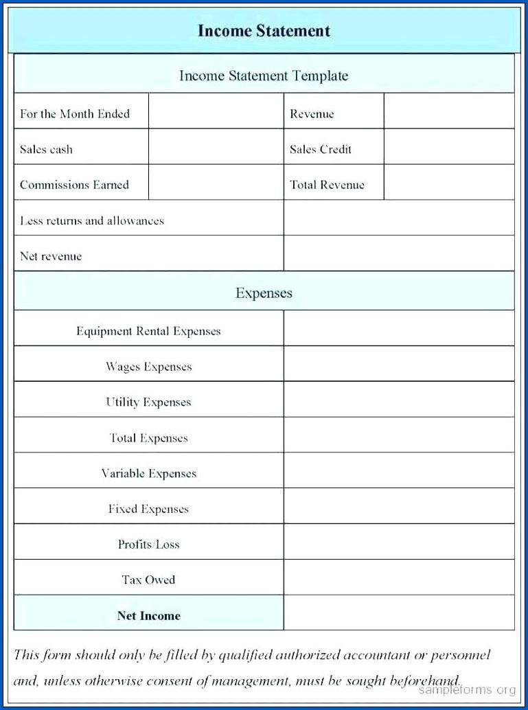 Sample of Profit And Loss Balance Sheet Template