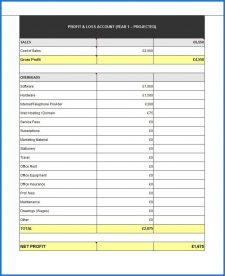 √ The Purpose of Profit Loss Statement for Our Business