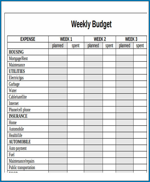 Weekly Budget Template Sample