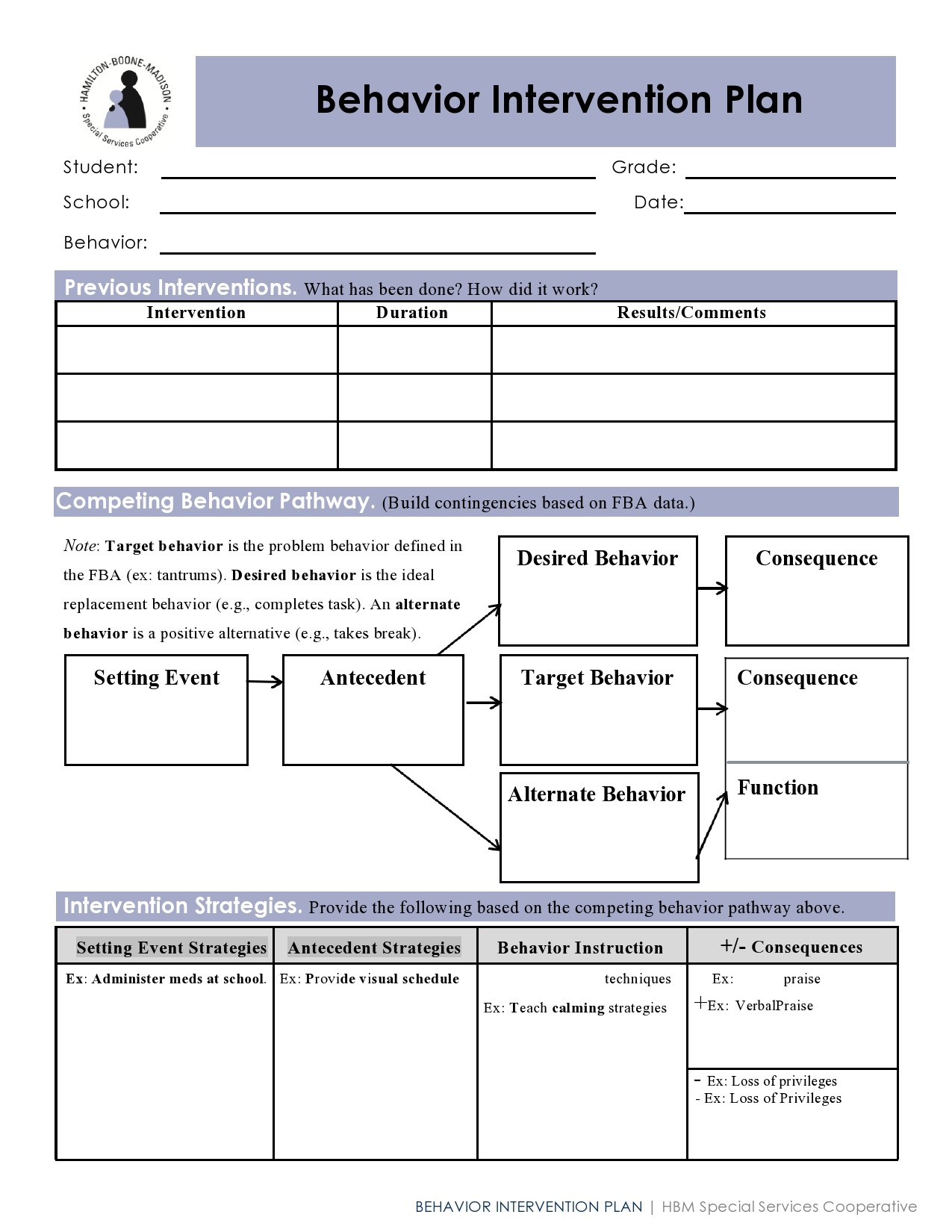 behavior action plan template