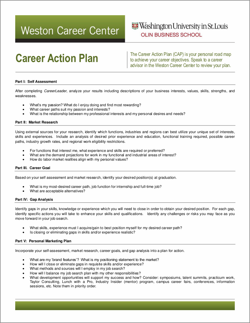 career action plan template example