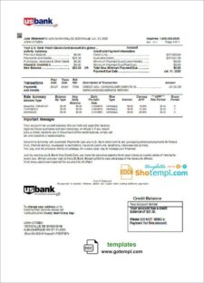 credit card billing statement template example | Templateral