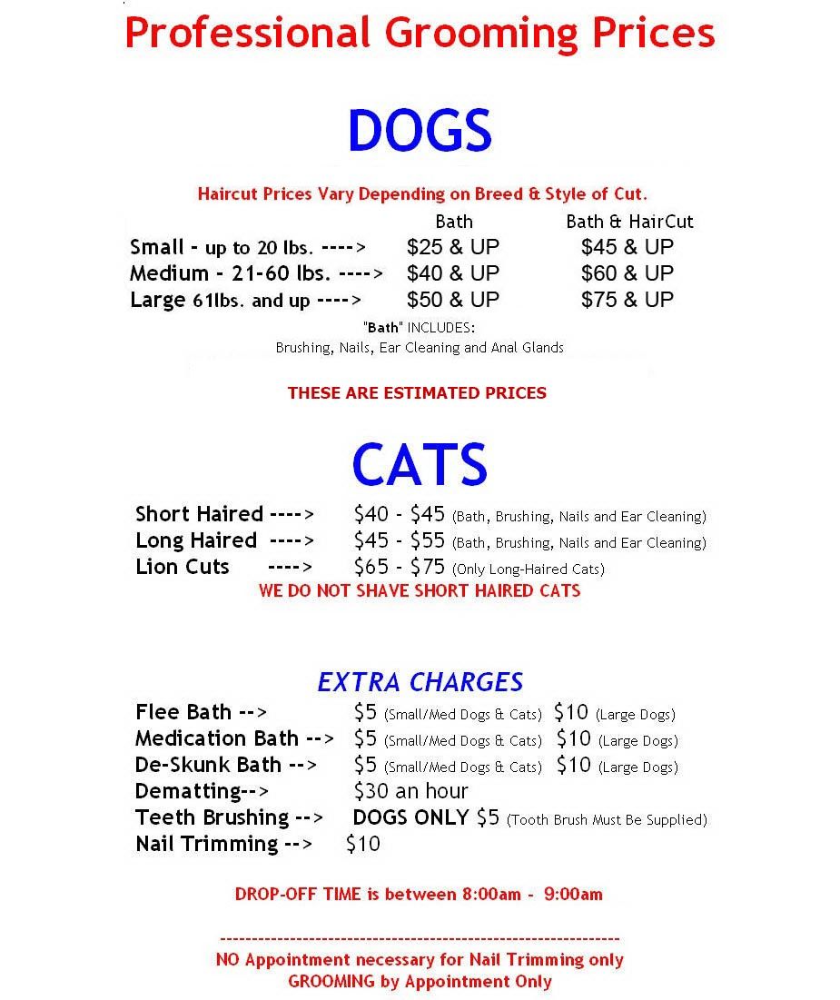 dog grooming price list template example