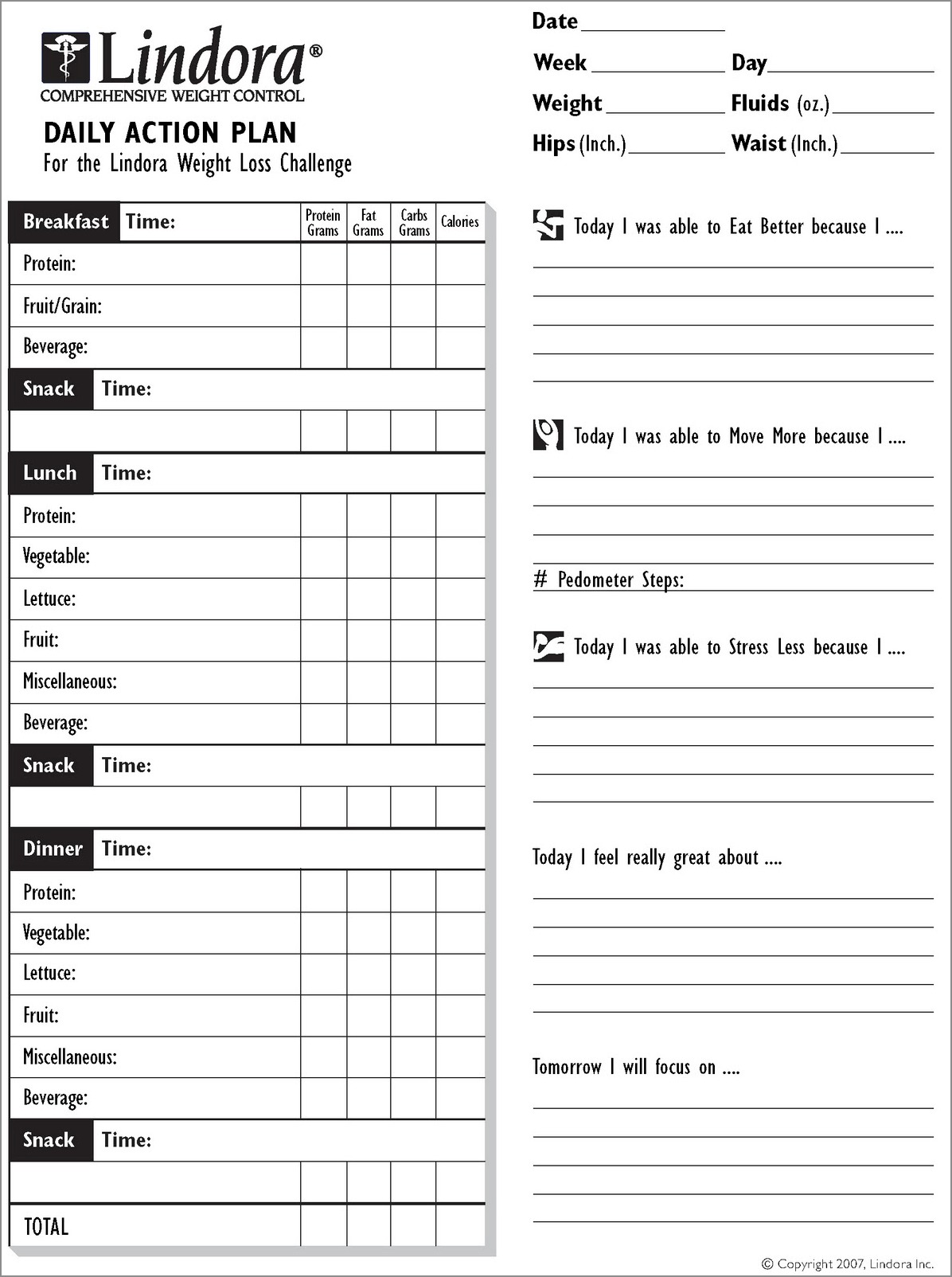 example of daily action plan template