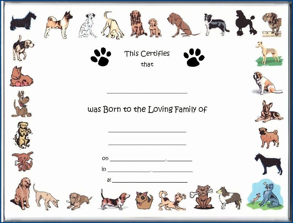 example of dog birth certificate template