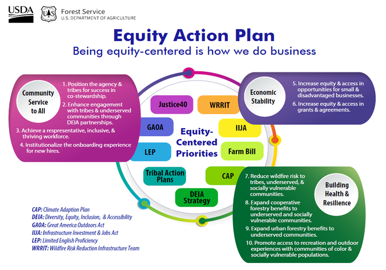 example of equity action plan template