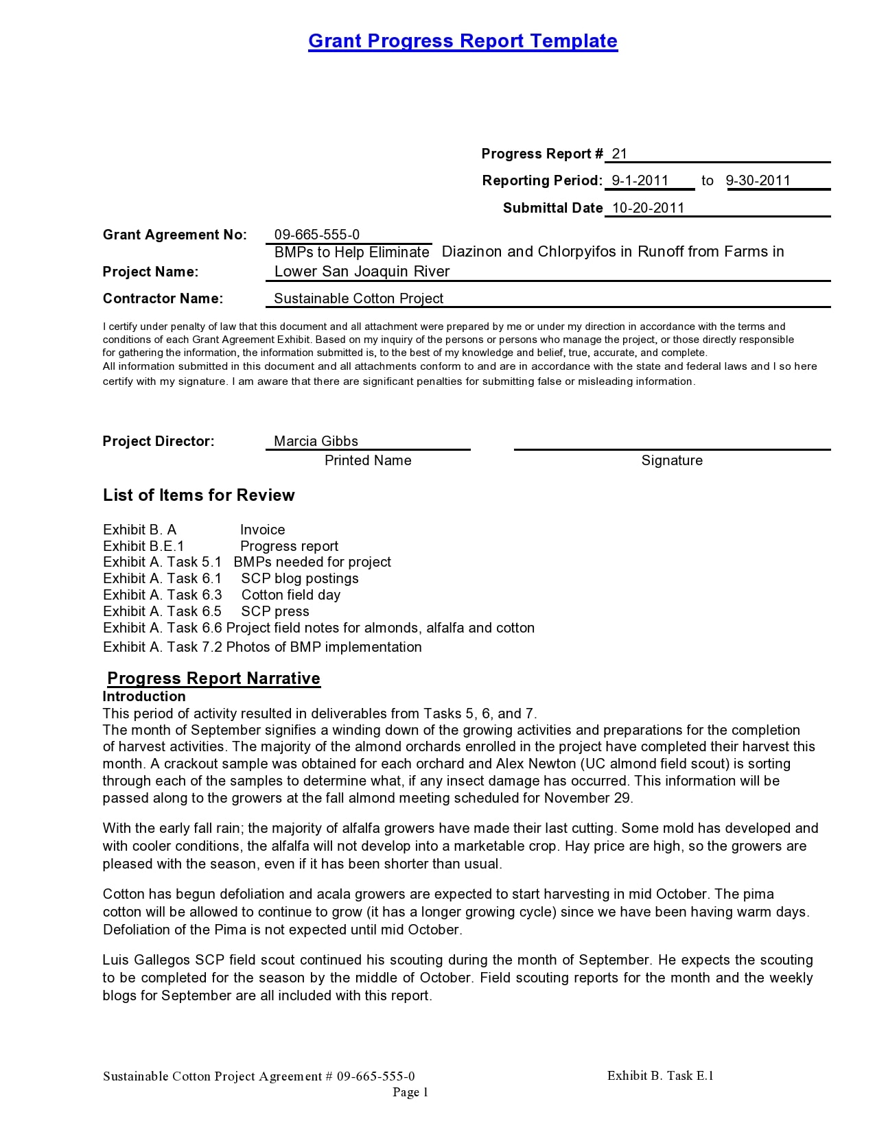 progress report template