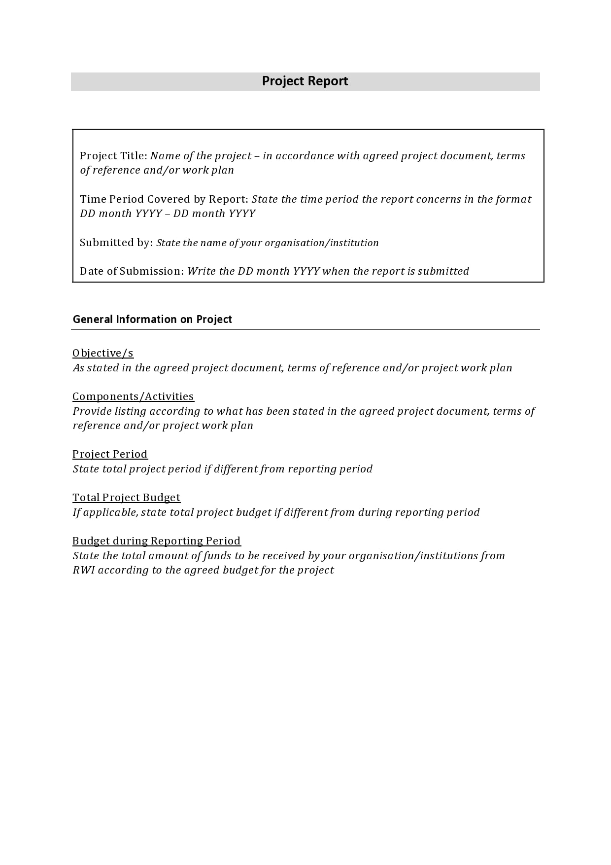 progress report template