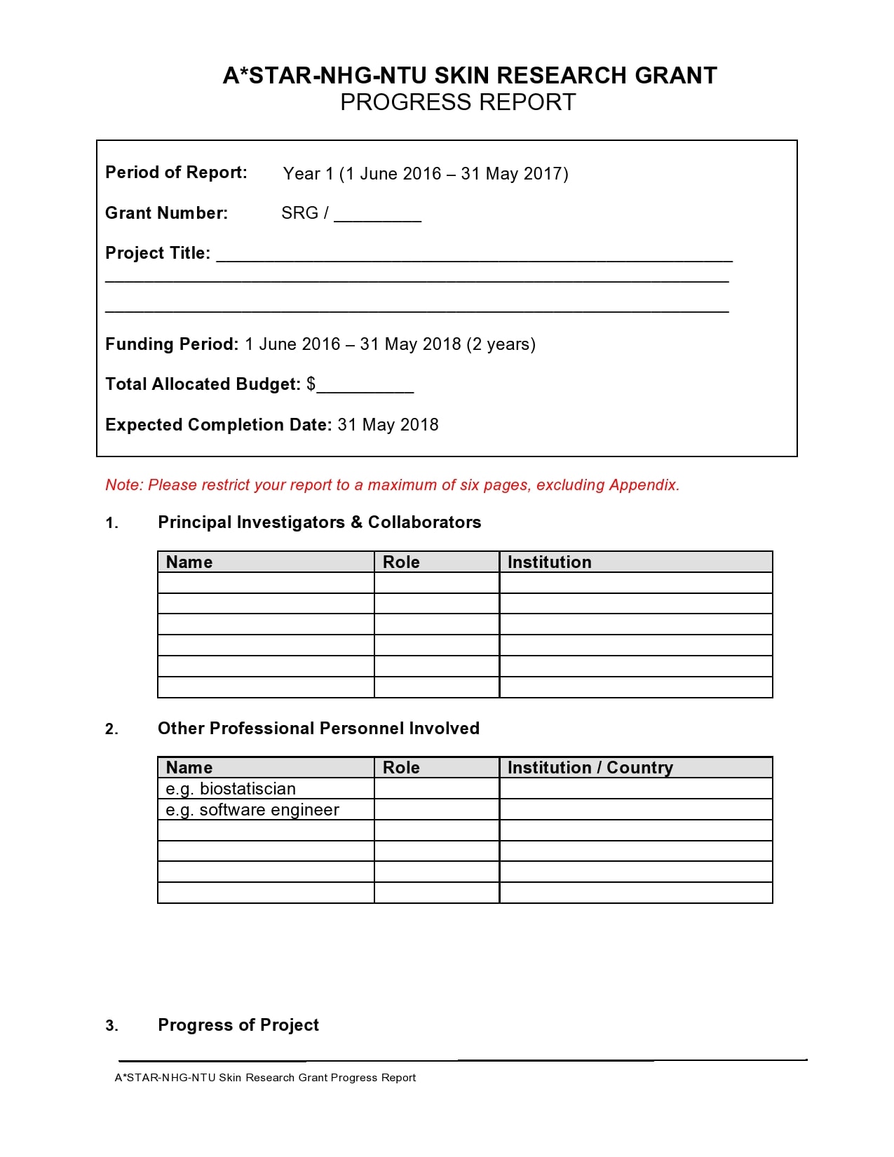 progress report template