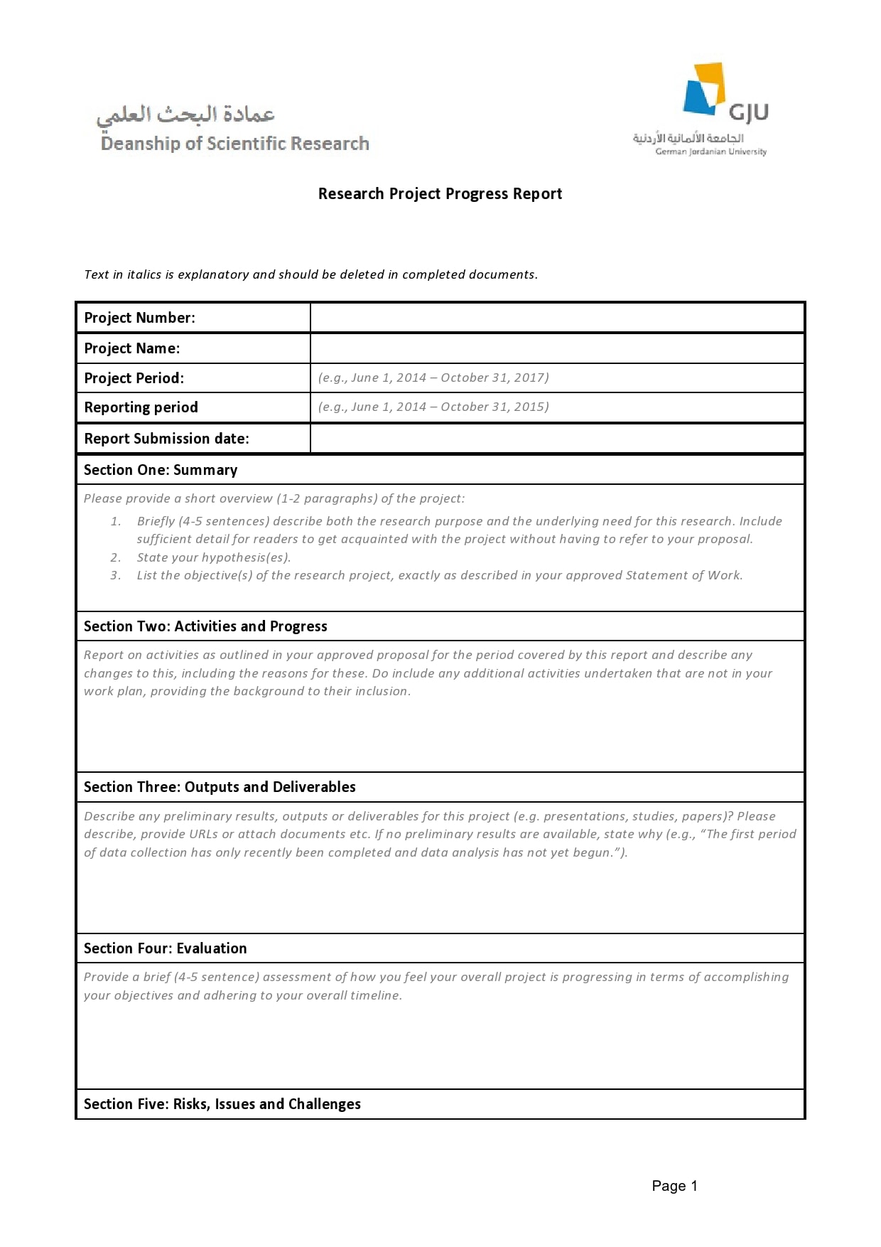 progress report template