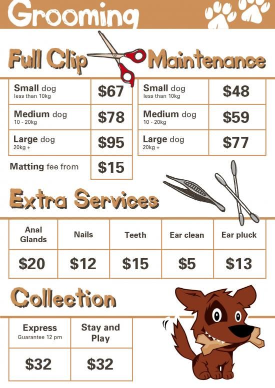 sample of dog grooming price list template